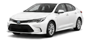 トヨタ カローラセダン（Corolla Sedan）のクリップ・部品番号一覧